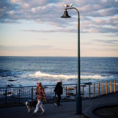 Bronte Beach, Bronte NSW