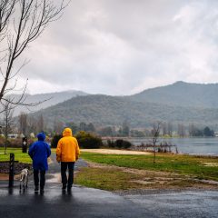 Mount Beauty VIC
